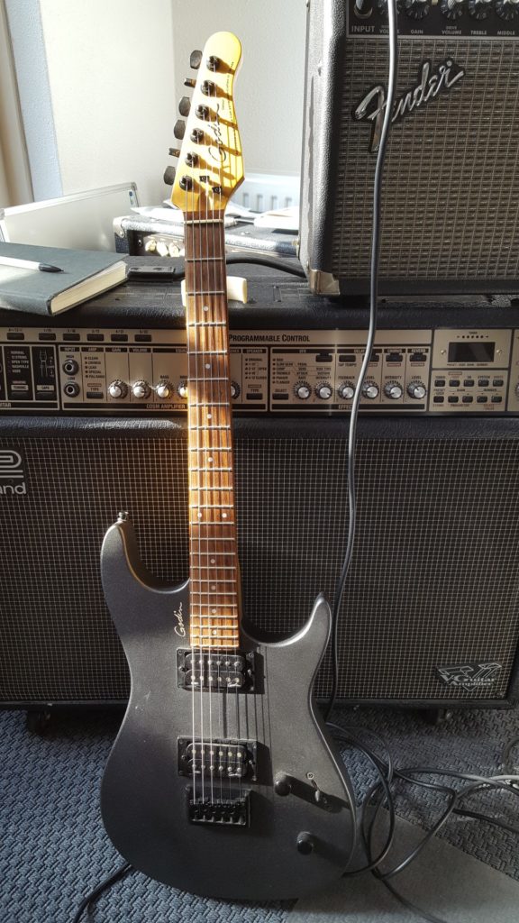 Godin Detour Picture 2007